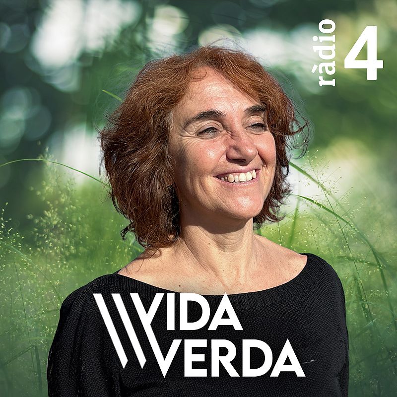 Parlem a “Vida Verda” sobre el Premi Emprius i cal Cisteller
