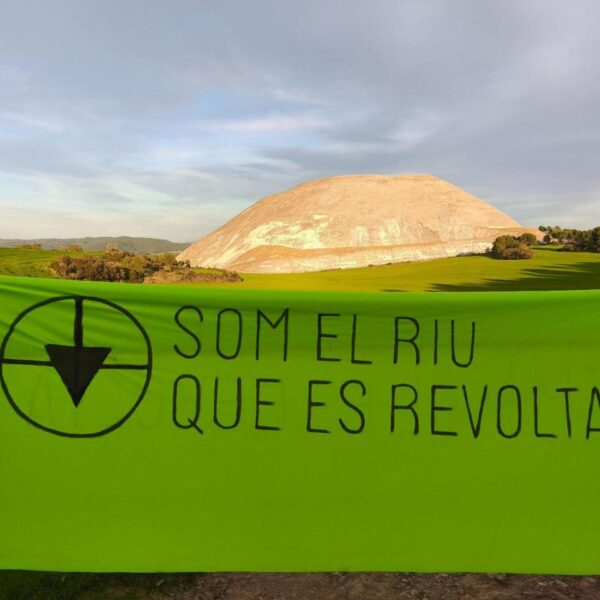 Actes aquesta primavera